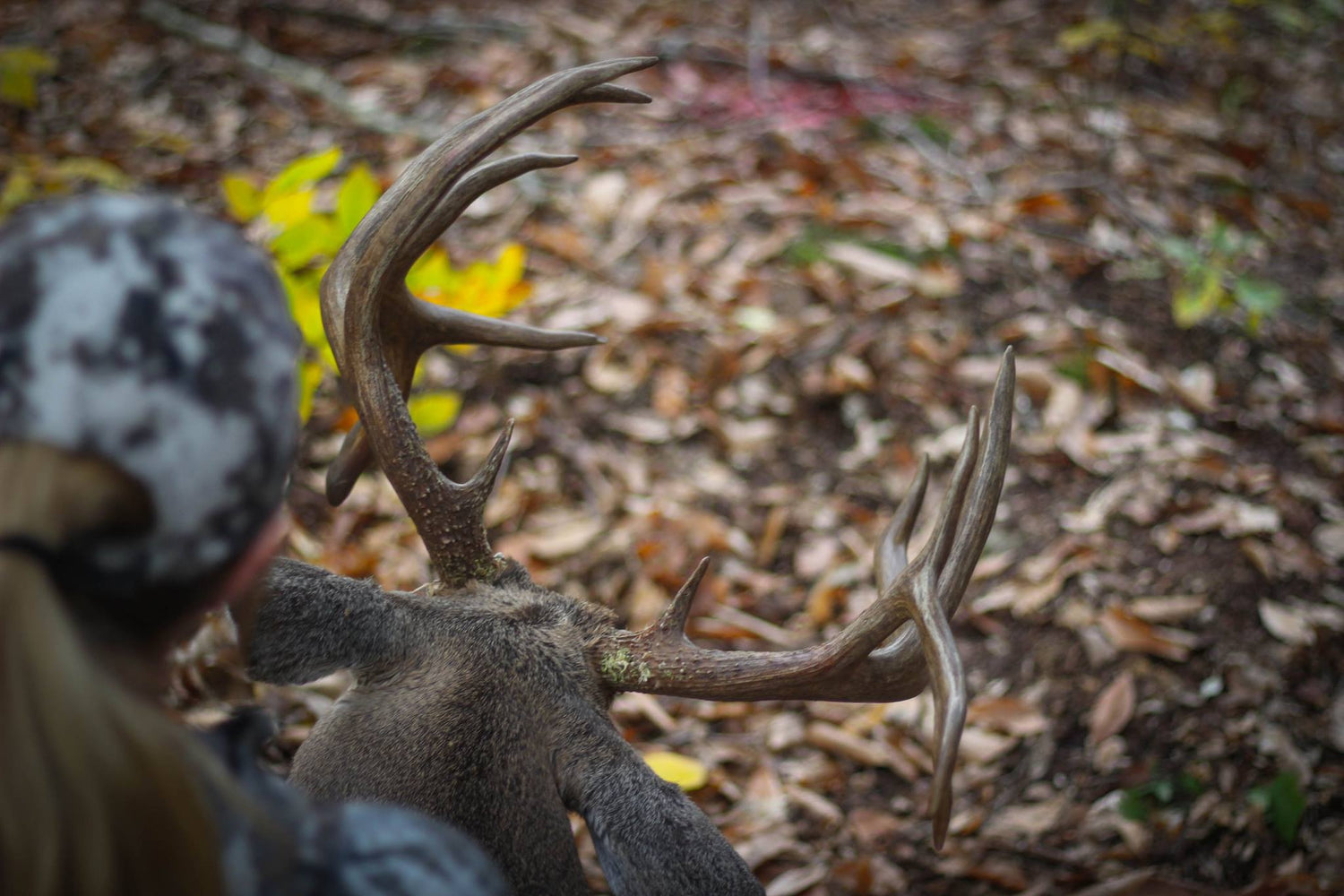 Tactics for Taking a Pennsylvania Mountain Monster: Appalachian Whitetail Hunting - Pt 2
