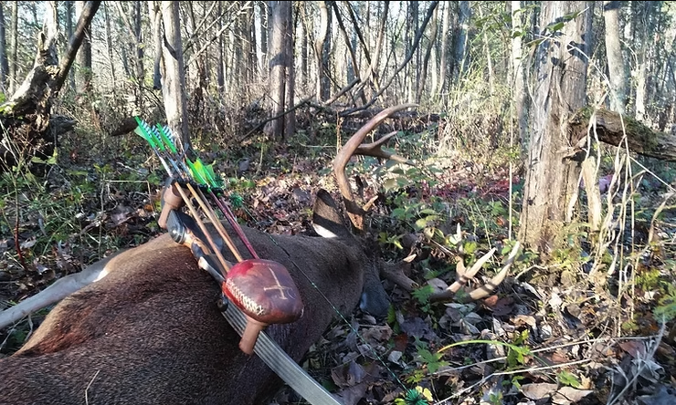 Keys to Consistent Success - Hunting Mountain Bucks