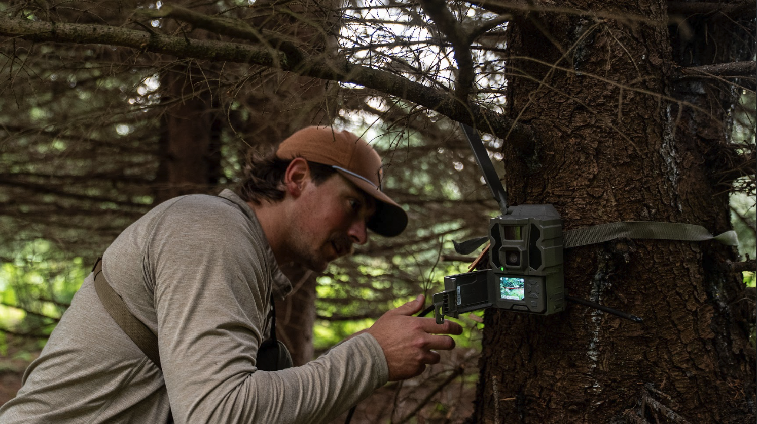 5 Water Sources to Place Cell Cams for Low-Impact Whitetail Scouting