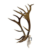 The Rakk: Elk Skull Hanger